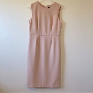 Ann Taylor Blush Pink Shift Dress 10